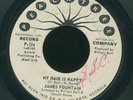 1967 James Fountain Peachtree My Hair Is Nappy PROMO 45