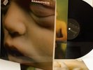 Rammstein - Mutter - Vinyl 12