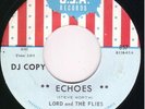 Garage Psych 45-LORD And The FLIES-Echoes (rim crack )