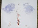 COIL Worship the Glitch LP ORIGINAL Art Edition V RARE