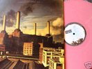 PINK FLOYD - ANIMALS - COLORED DISC coloré  ROSE