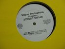 SANDRA TAYLOR rock me well rare boogie 12