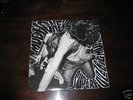 Mudhoney - Superfuzz bigmuff Vinyl LP