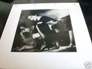 ENYA Enya RARE LP