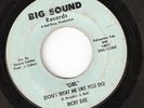 RICKY DEE 45 ON BIG SOUND GREAT GARAGE AND TEENER