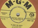 VAN DYKE PARKS*DO WHAT YOU WANTA*MOD DANCER*LISTEN