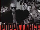 ultramagnetic mcs: Poppa Large 12