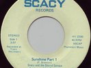 Scacy Sunshine Rare D.C. Sister Funk 45 Breaks LISTEN