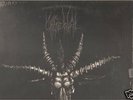 Urgehal - Goatcraft Torment LP