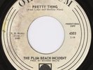 New York Pop Psych 45-Plum Beach Incident-Orpheum-Hear