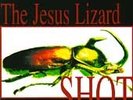 JESUS LIZARD Shot LP VINYL scratch acid shellac nirvana