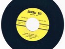1959 TORNADOS LOVE IN YOUR LIFE ON BUMBLE BEE