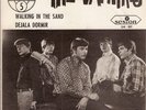THE VAMPIRES.Walking in the sand.1967.Single