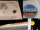 Vincent Gallo Recordings of Music for Film Vinyl LP