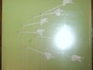Modest Mouse Good News for People Who Like Bad News LP
