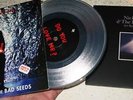 2 NICK CAVE & BAD SEEDS 7