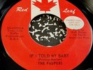 The Paupers 45 Red Leaf Promo If I told my baby Garage