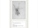 Sacred Bones LP - Moon Duo, Zola Jesus, Gary War