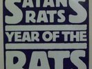 SATANS RATS/YEAR OF THE RATS DJM PUNK 45 1978 NEAR MINT