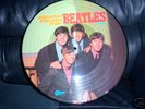 PLEASE PLEASE ME The Beatles  PICTURE DISC MINT Stereo