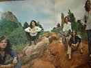 Spooky Tooth    - Witness - im Klappcover   TOP ZUSTAND