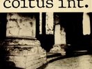 COITUS INT 1st LP Dutch 1981 POST PUNK COLD WAVE Listen