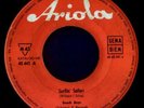 BEACH BOYS Surfin´ Safari / Luau (´62 / rare German 7