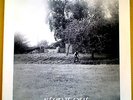 MACREEL - STEP IT OUT- PRIVATE DUTCH FOLK MONSTER MINT-