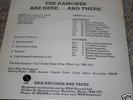 Ramones Questioningly 7