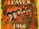THE LEAVES '1966' Orig US LP Garage Punk Folk Rock