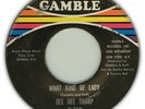 DEE DEE SHARP rare northern soul 45 WHAT KIND OF LADY