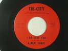 ALBERT JONES northern soul 45 I DO LOVE YOU TRI CITY