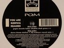 PQM You Are Sleeping Yoshitoshi YR104 2x12