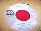 45 RPM VINYL RECORD Thirteenth Floor Elevators