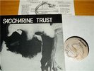 SACCHARINE TRUST Paganicons LP Punk HC KBD BLACK FLAG
