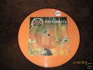 SLAYER HELL AWAITS PICTURE DISC-RARE OUT OF PRINT