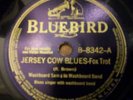 Washboard Sam--Jersey Cow--Bluebird 8342  E-