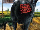 blink-182 Dude Ranch Clear Orange Vinyl LP RARE OOP/500