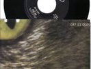 PEARL JAM Off He Goes Rare 7