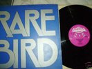 RARE BIRD as your mind flies by PRESS 1970(PINK SCROLL)
