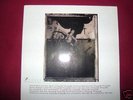 lp - pixies - surfer rosa