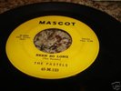 RARE DOO-WOP 45/ THE PASTELS 