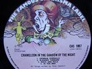 PETER HAMMILL - CHAMELEON IN THE SHADOW OF THE NIGHT
