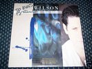 BRIAN WILSON - S/T - SIGNED / AUTOGRAPHED LP BEACH BOYS