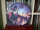 PINK FLOYD. ANIMALS.RARE PICTURE DISC MINT CONDITION LP