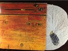 ALICE COOPER SCHOOL'S OUT WB RARE DESK+PANTIES