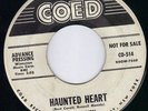 ROCKABILLY ROCKER    JOHNNY LION   COED VG++ (HEAR)