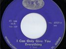 LITTLE BOY BLUES    I Can Only Give    1966 US 45    EX
