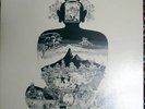 SATORI / FLOWER TRAVELLIN'BAND JAPAN PSYCH PROG POKORA