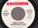 RARE Pink Floyd Comfortably Numb WL Promo Long Vers 45